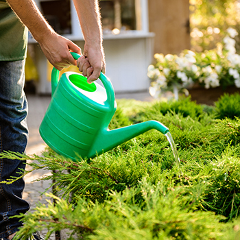 Empresa de Jardinagem para Condomínio